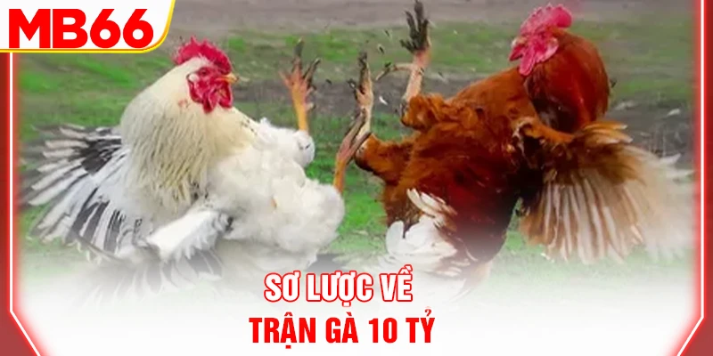 so-luoc-ve-tran-ga-10-ty