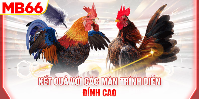 ket-qua-voi-cac-man-trinh-dien-dinh-cao