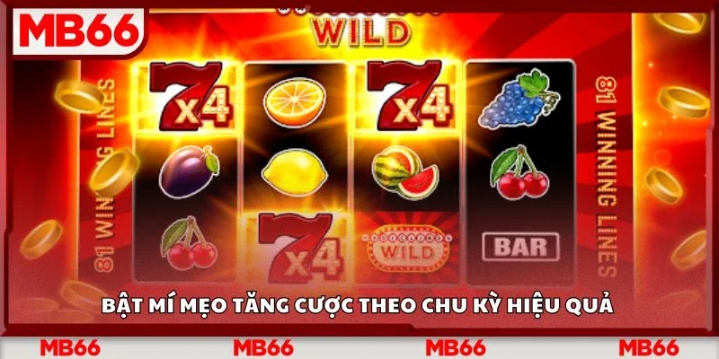 Bật mí mẹo tăng cược theo chu kỳ hiệu quả 