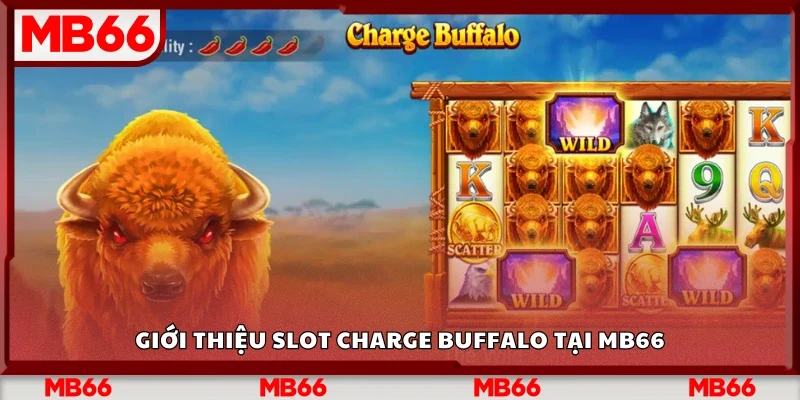 Giới thiệu Slot Charge Buffalo tại Mb66