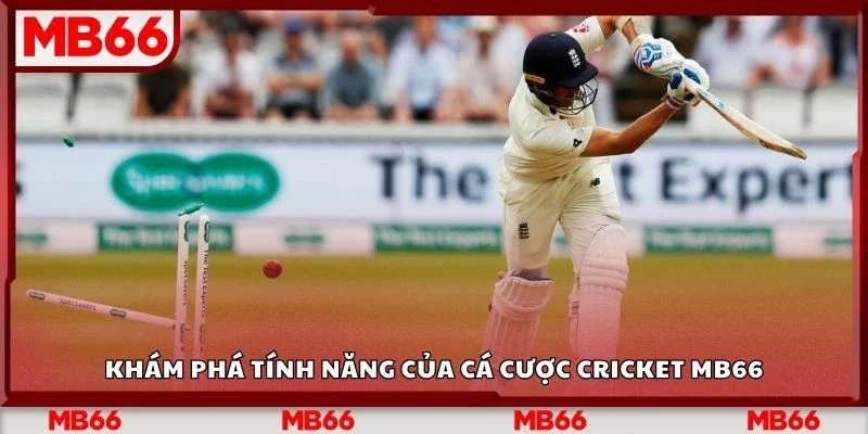 Khám phá tính năng của cá cược cricket Mb66