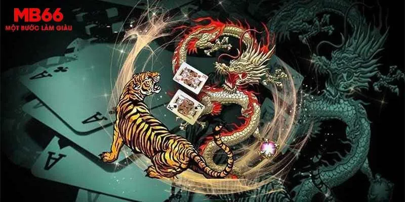 Giới Thiệu Tổng Quan về Rồng Hổ MB66