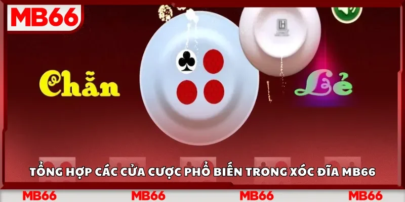 Tổng hợp các cửa cược phổ biến trong xóc đĩa Mb66